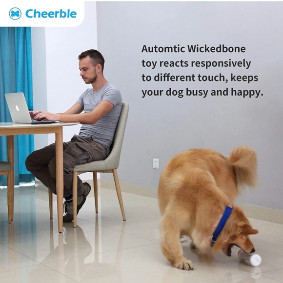 Wicked Bone Interactive Automatic Dog Cat Toy Remote Control Robot Rechargeable - Picture 2 of 15